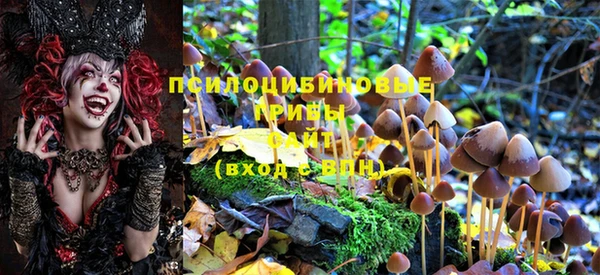 марки lsd Костерёво