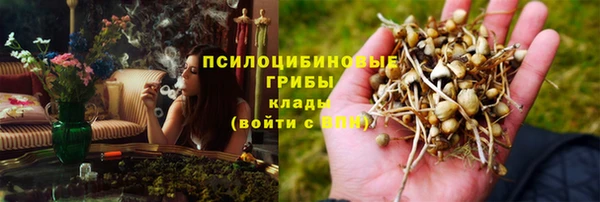 МДПВ Коряжма