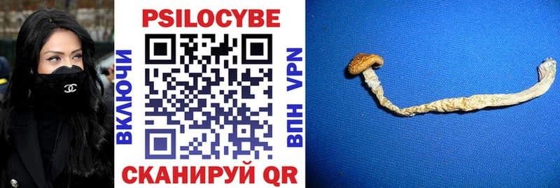 Галлюциногенные грибы Psilocybine cubensis  Нижняя Тура 